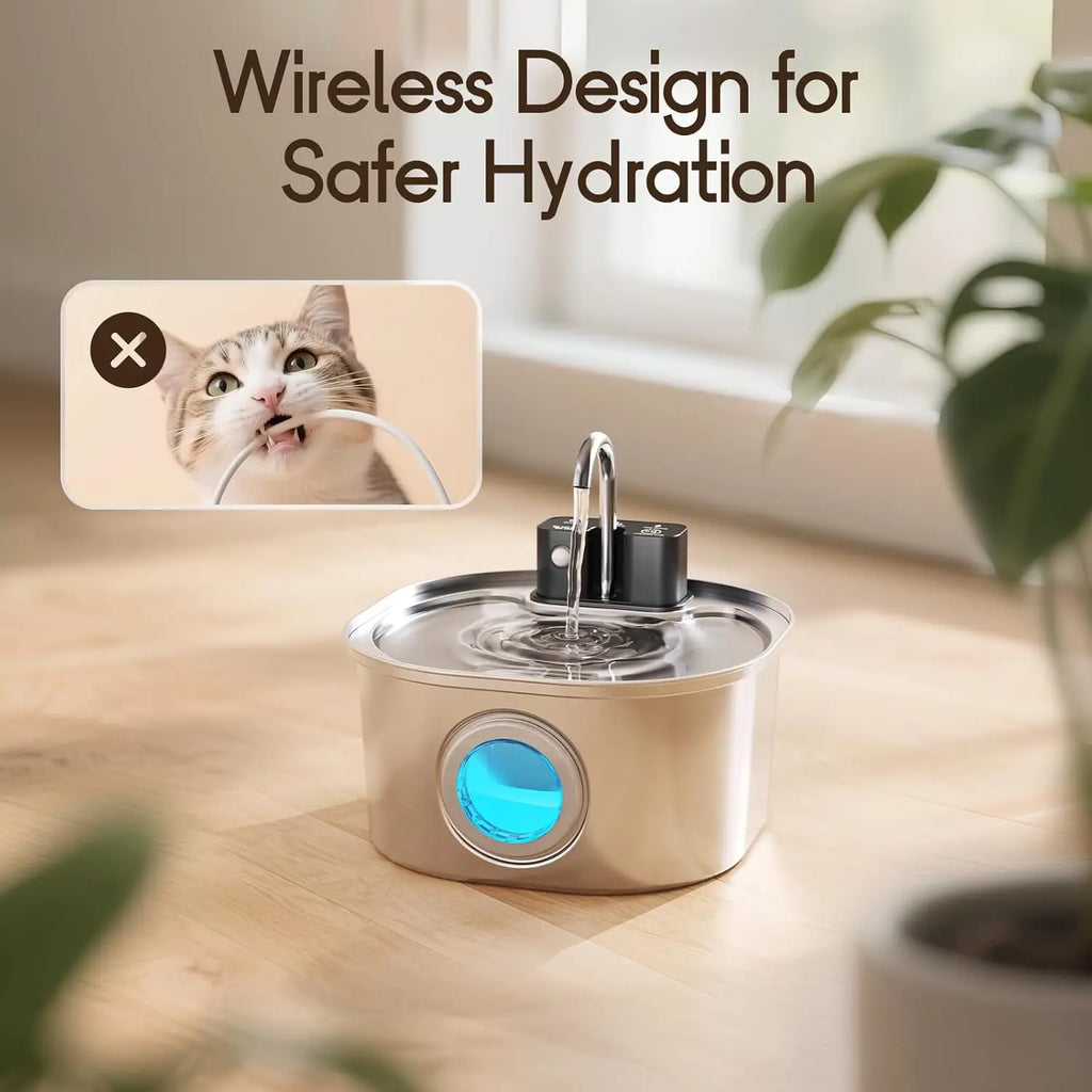 Fontaine à eau sans fil en inox 3 L – Batterie rechargeable