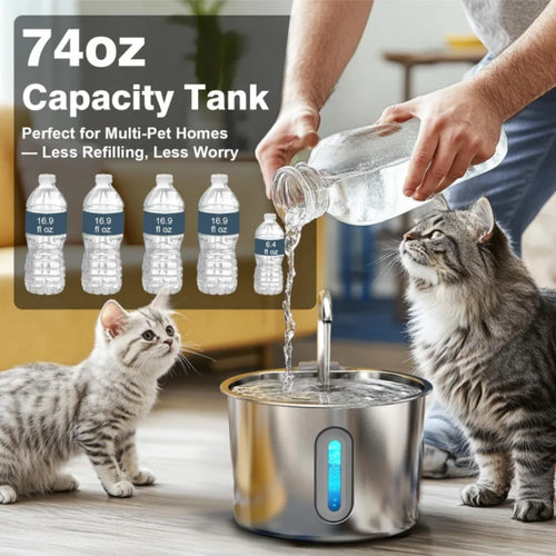 Fontaine à eau en inox 2,2 L pour chats et petits chiens